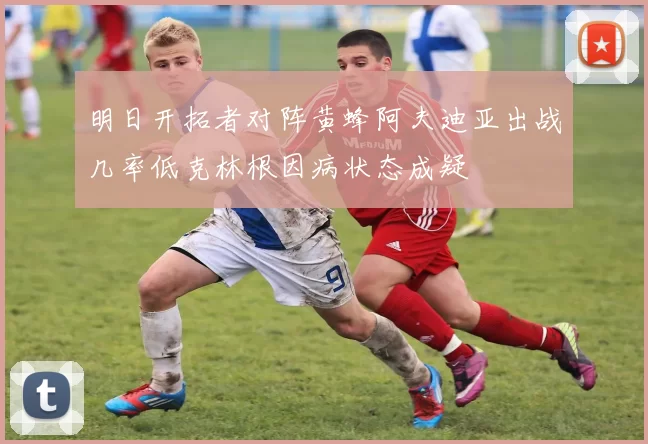 明日开拓者对阵黄蜂阿夫迪亚出战几率低克林根因病状态成疑